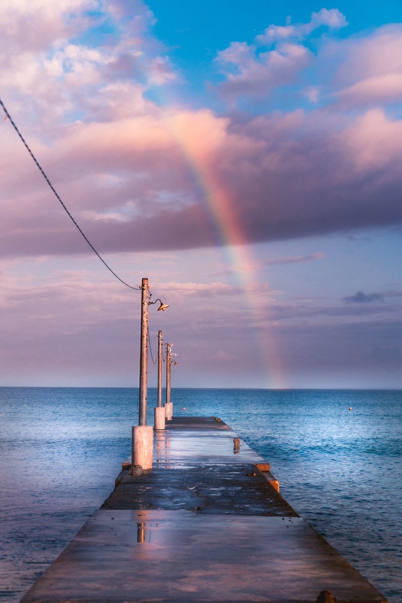 ポムの蒼。(ポムノアオ) tweet media