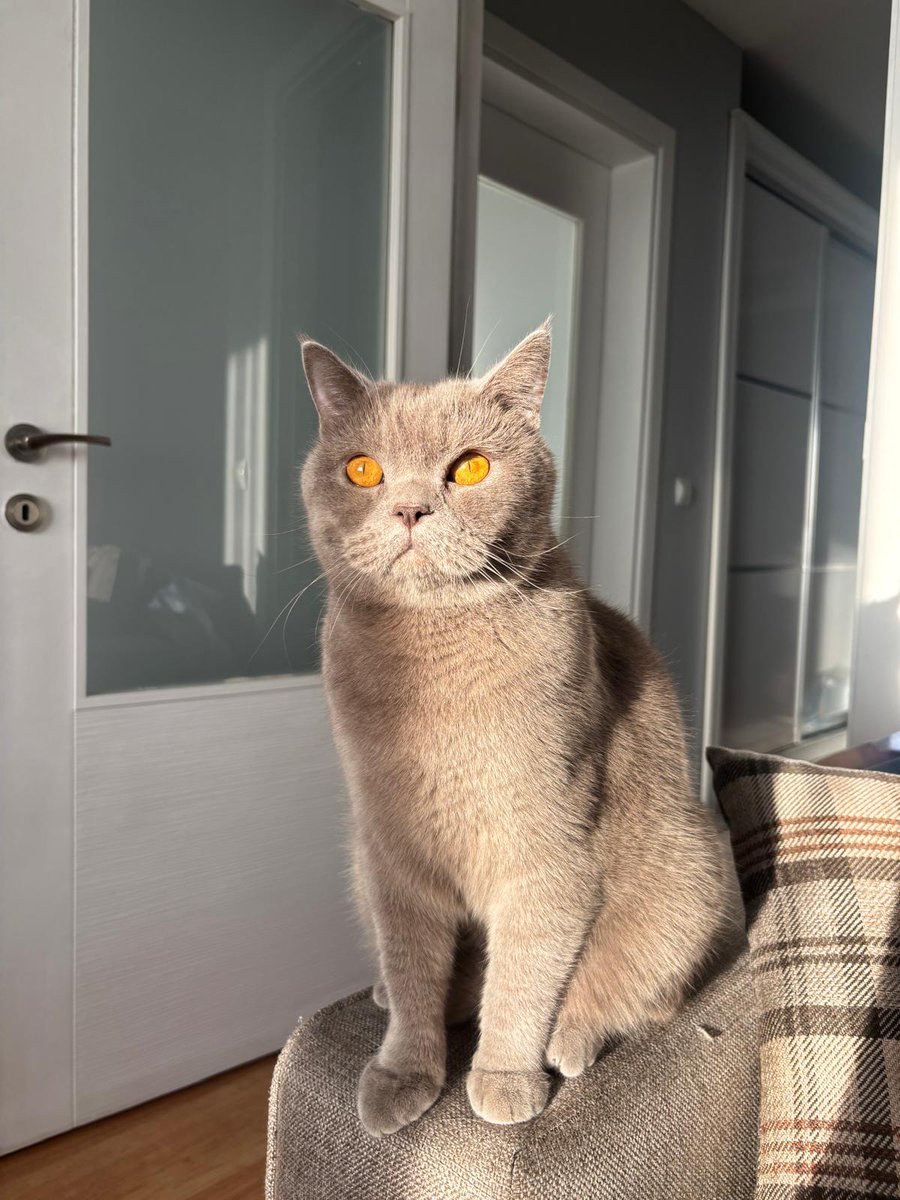 Ömer Özmen tweet media