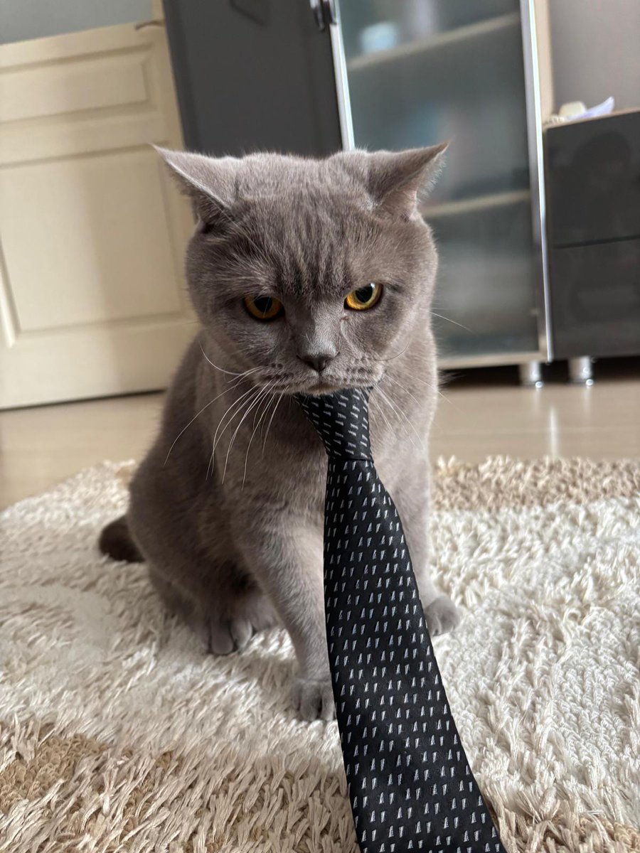 Ömer Özmen tweet media