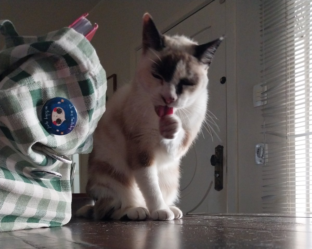 Fernando Marés tweet media