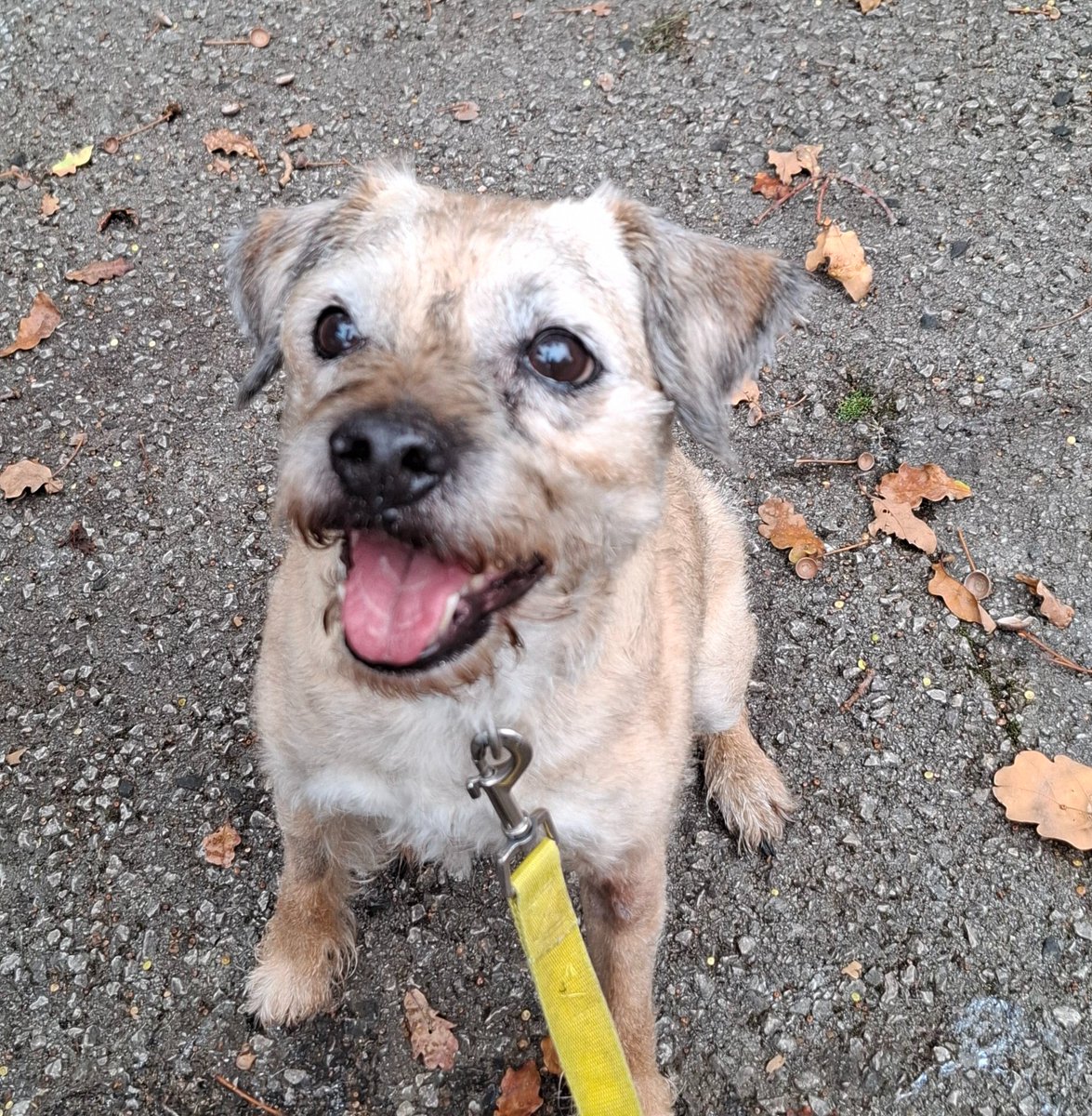 Dr Ultra tweet media