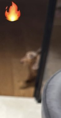 vitto ⁷² tweet media