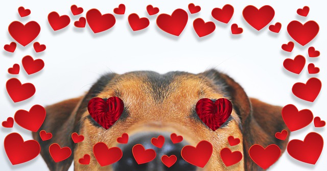 Natalie Bui tweet media