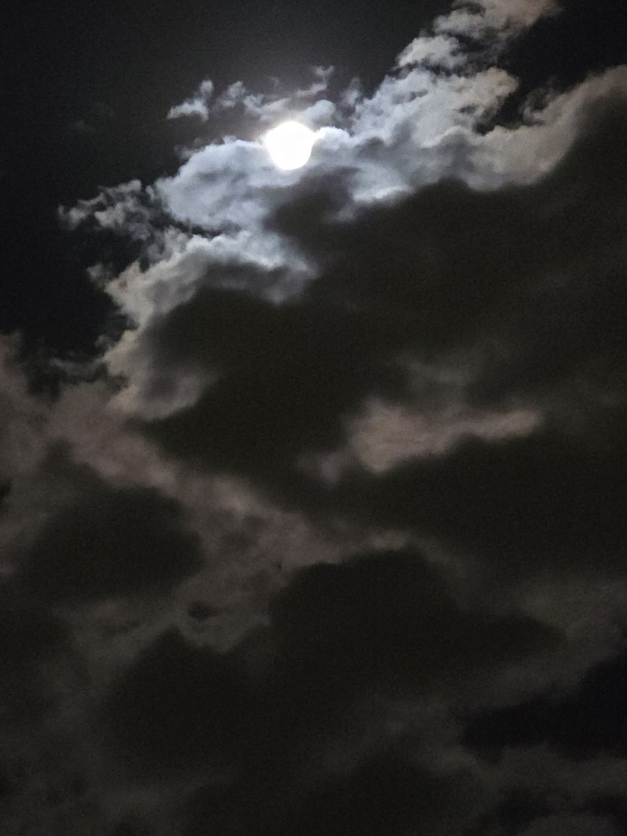 sito ♎ tweet media