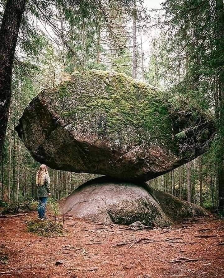 World's Amazing Things tweet media