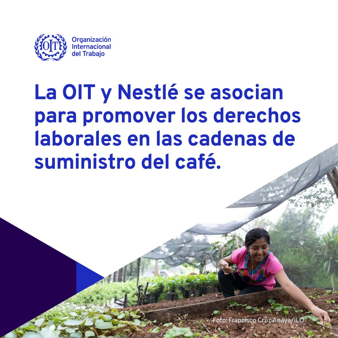 OIT Américas tweet media