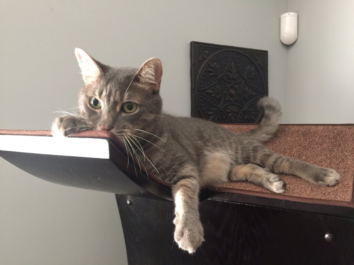 Secdeff67 tweet media