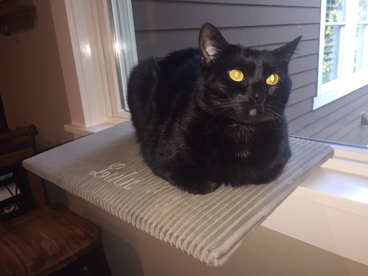 Secdeff67 tweet media