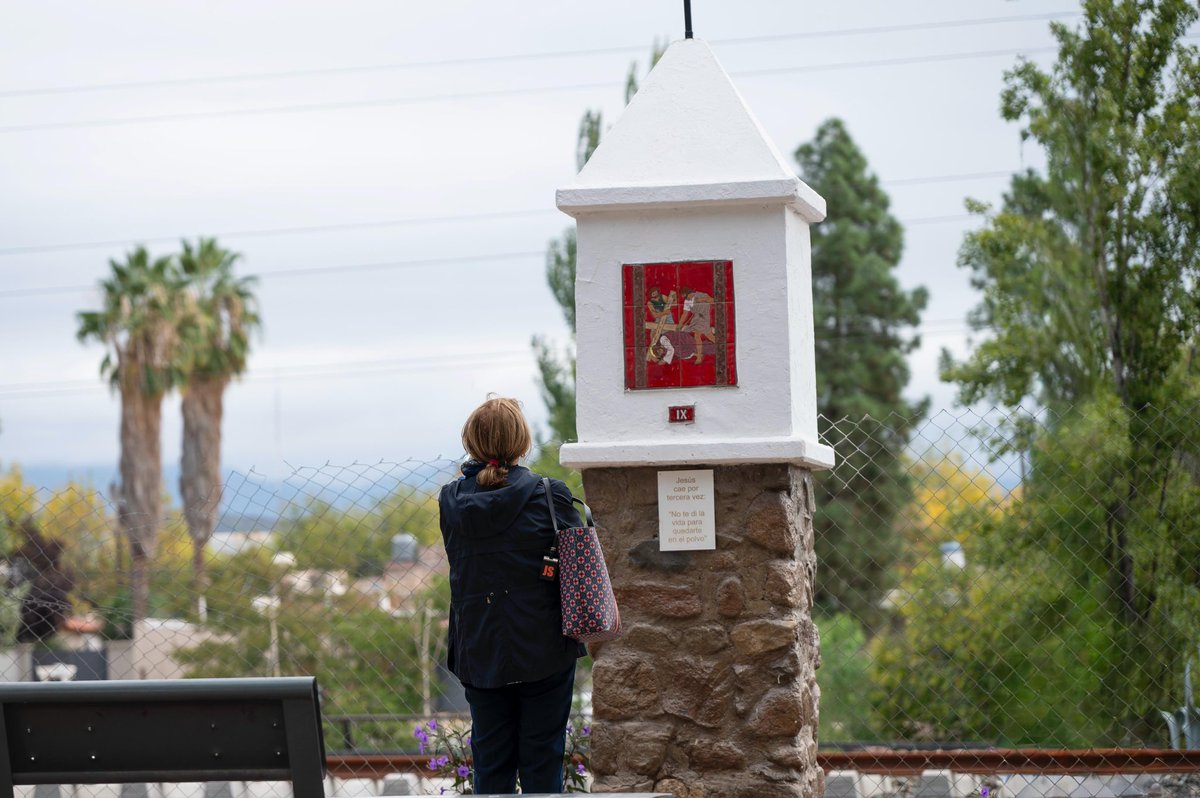 Diego Costarelli tweet media