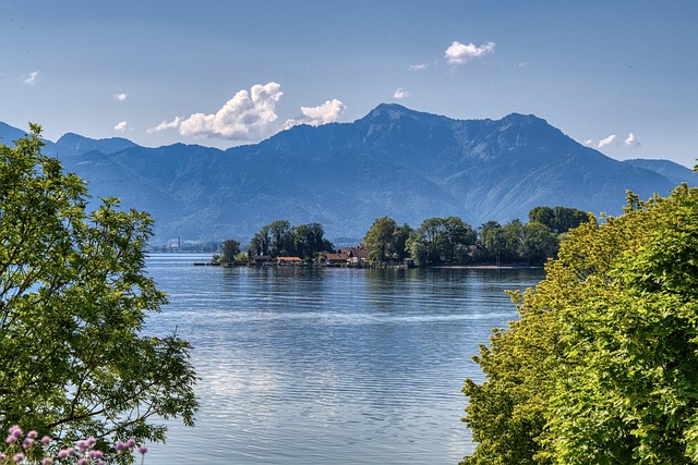 Danielle Phillips tweet media