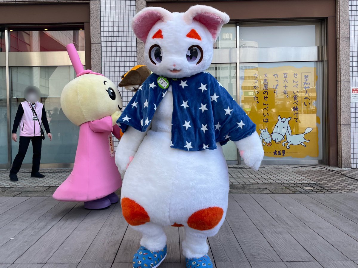 Mimirol Ipsum tweet media