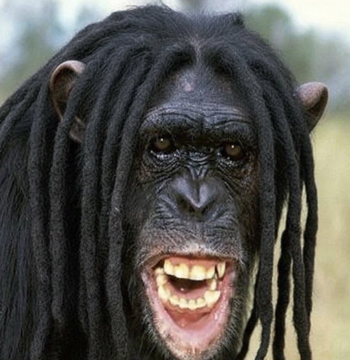 like.yeah.girl tweet media