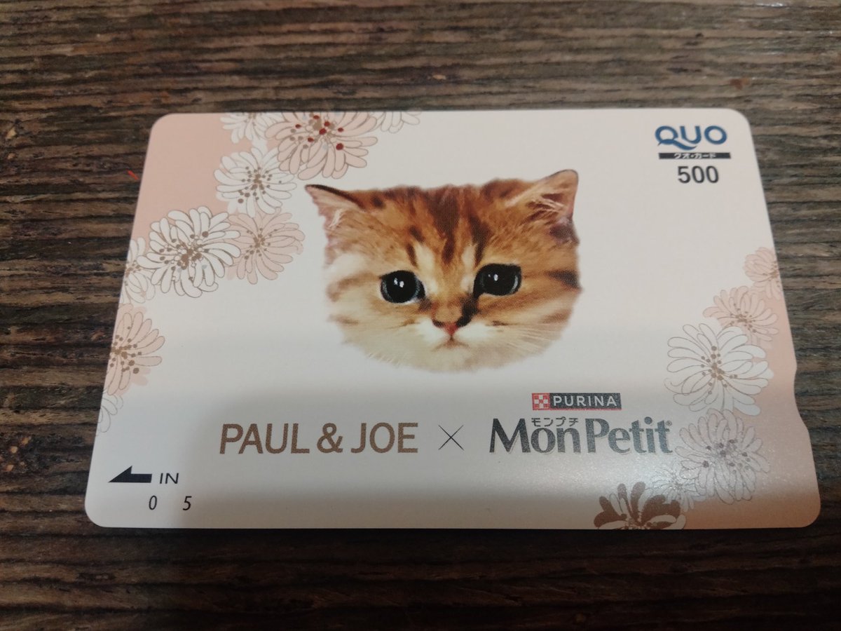 TM🐱🐢 tweet media