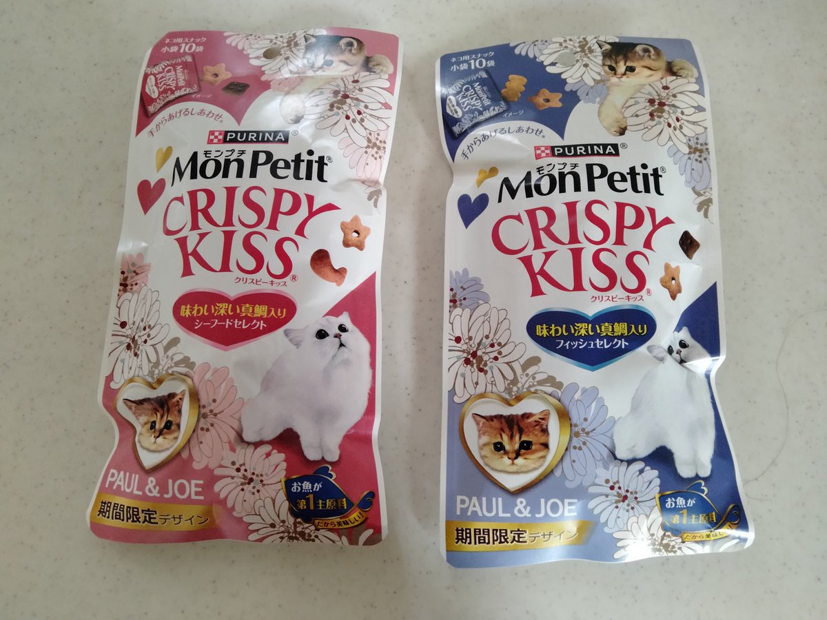 TM🐱🐢 tweet media