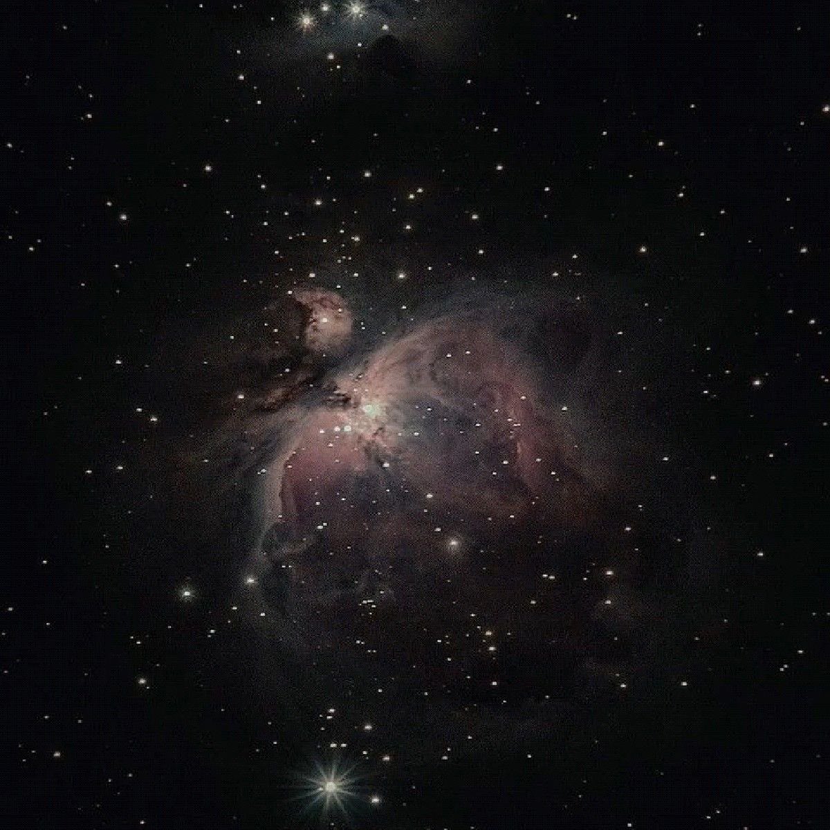 Stargirl tweet media