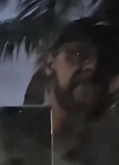 Ziguiriguidum 🐂💥💨 tweet media