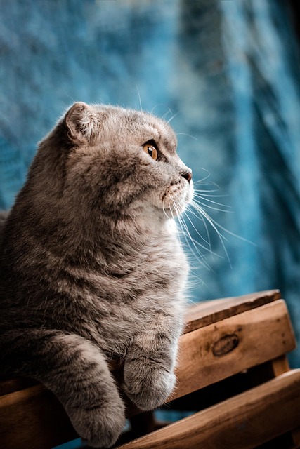 Lindsay Brown tweet media