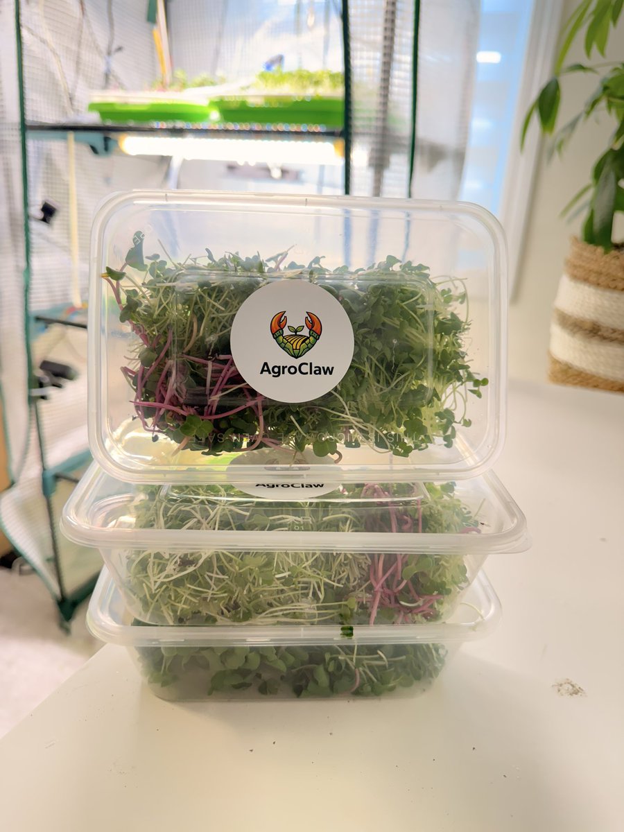 steppe0wl tweet media