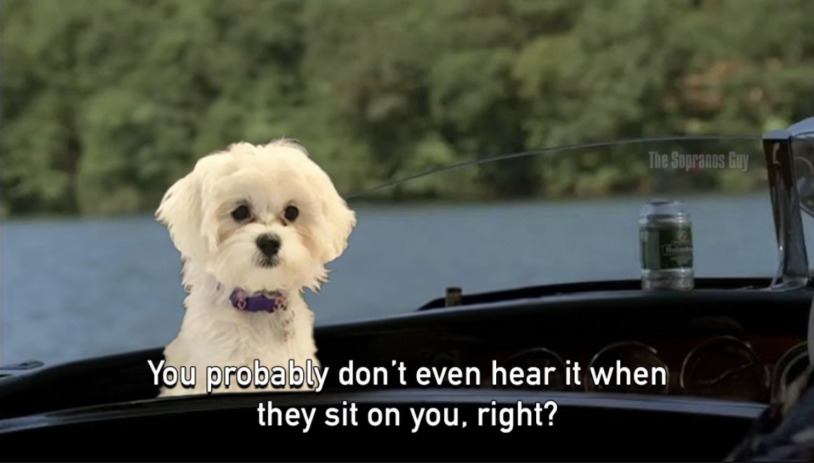 The Sopranos Guy™ tweet media