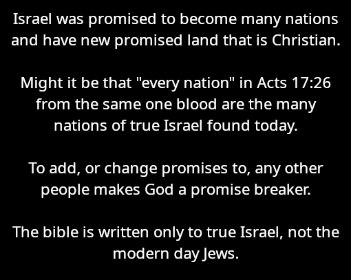 Tim Coucke tweet media