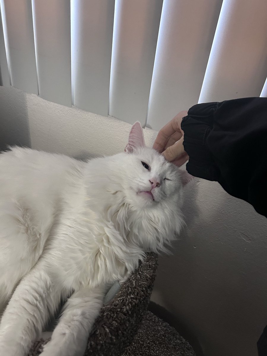 MSI Gaming USA tweet media