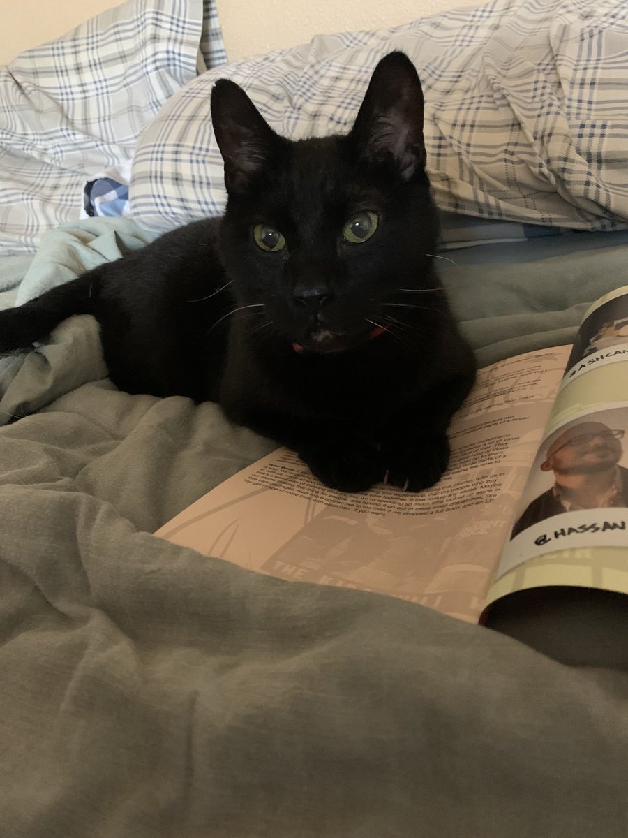 Chrispy_ADHD tweet media