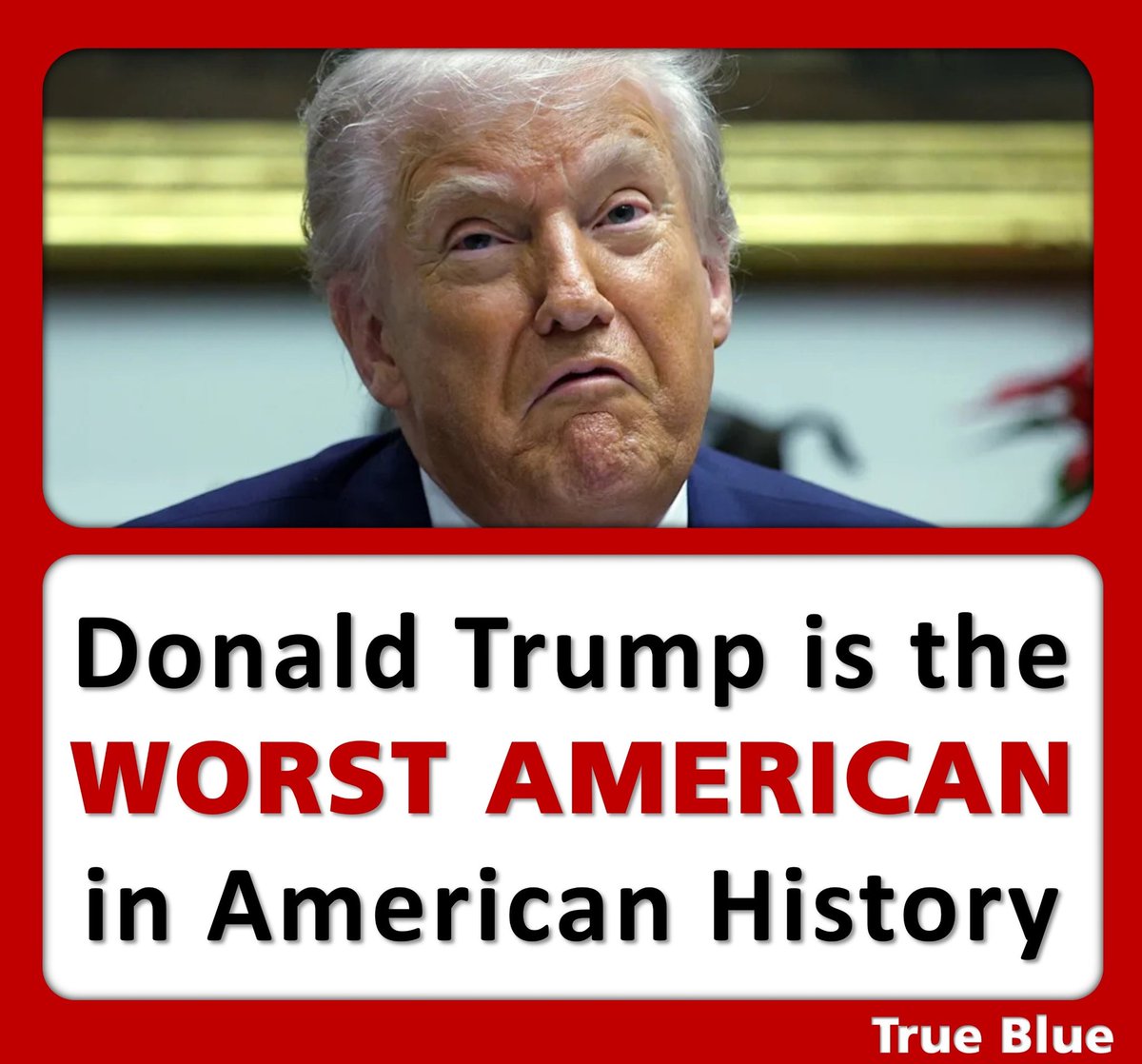 True Blue 🇦🇺🐨 tweet media