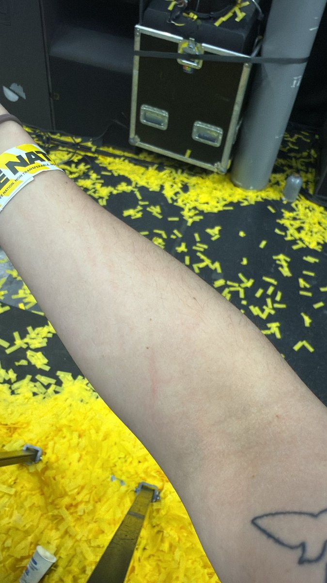 alexandra.🪩 tweet media