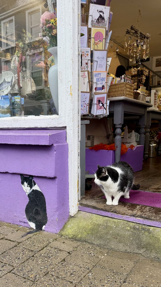 mitzyelliott's tweet image. Found a cute kitty today that manages a gorgeous gift shop. 
We went to the #CliffsOfMoher
Stunning part of #Ireland 
#CountyClare 🇮🇪