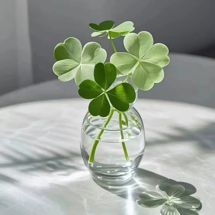 Solithra ☀️ tweet media