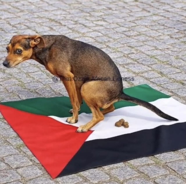 Zahav Jerusalem 🎗️ tweet media