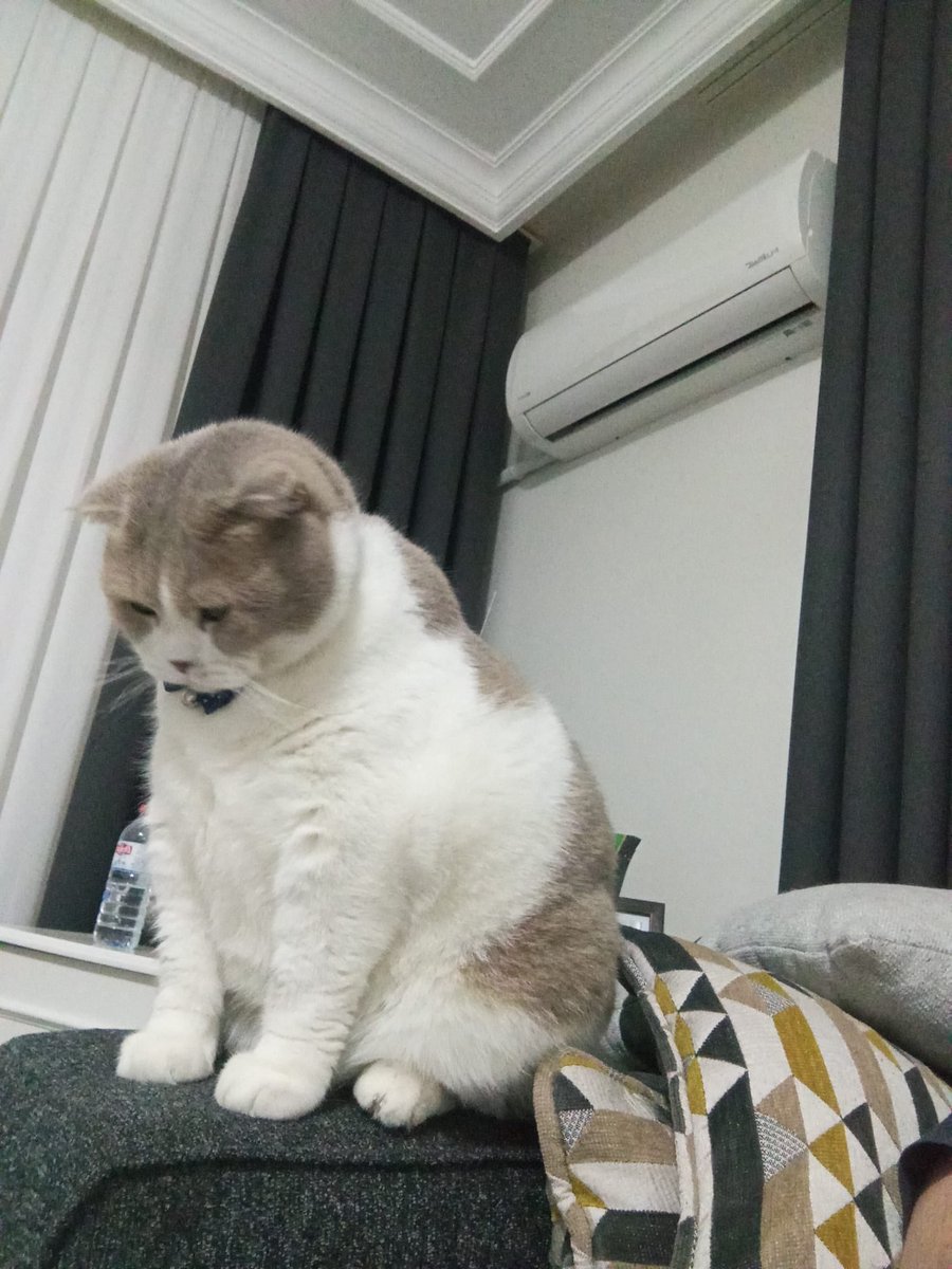 Hani bahar gelmişti hani güneşli günler görecektik 😤 yine şakır şakır yağmur 
#iyigeceler #geceyebirnot