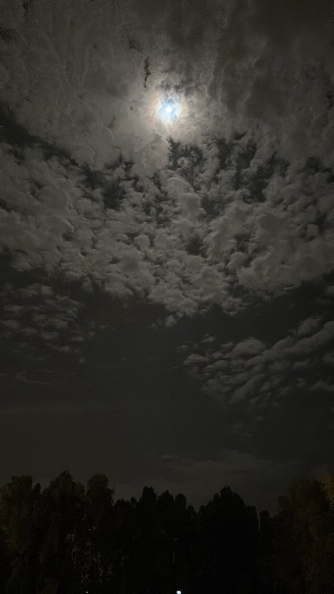 abdulrhman tweet media