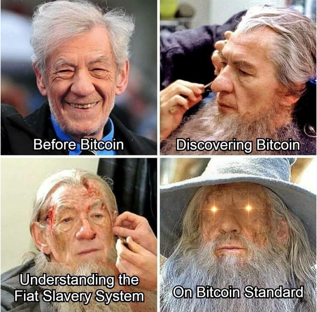 The Satoshi Archive tweet media