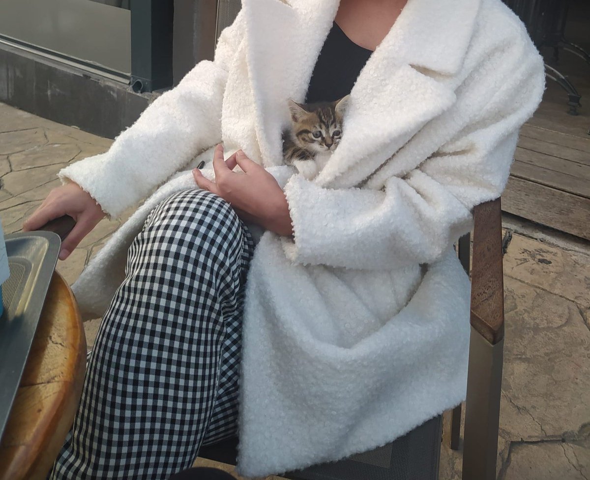 Av_NurMese tweet media