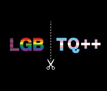 Commentary Bi Girl GC tweet media