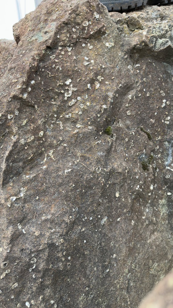 Mikesjournal tweet media