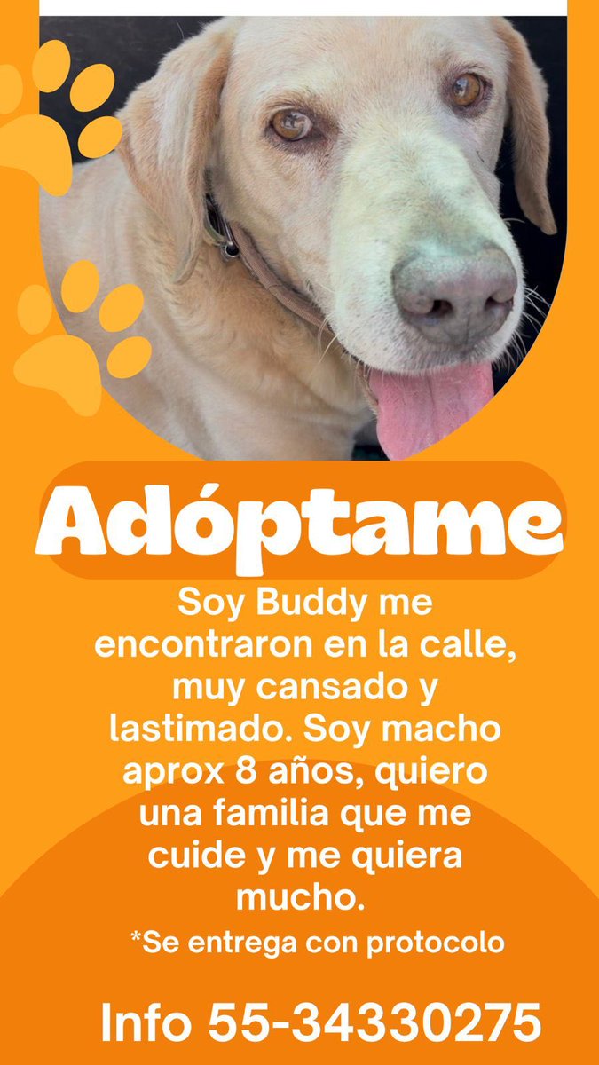 @ComunidaDesierto tweet media