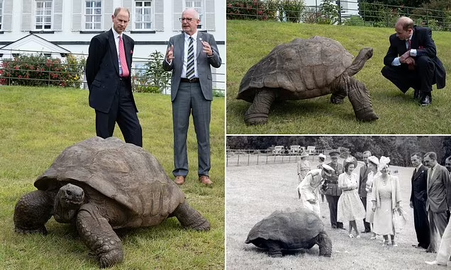 The Old World Show tweet media