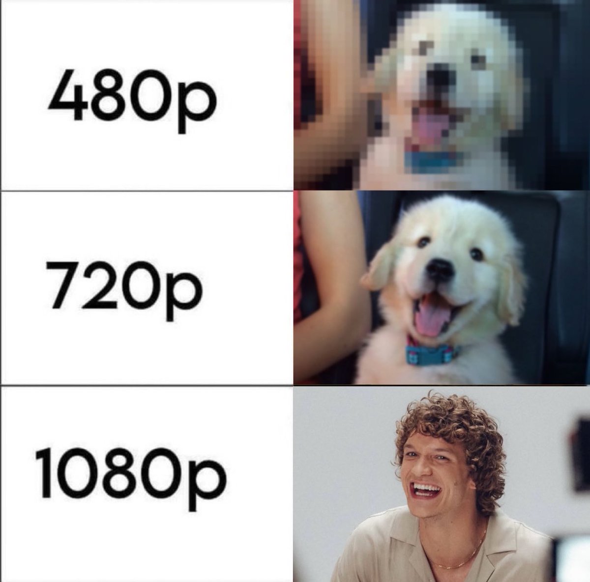 bones⚡️ tweet media