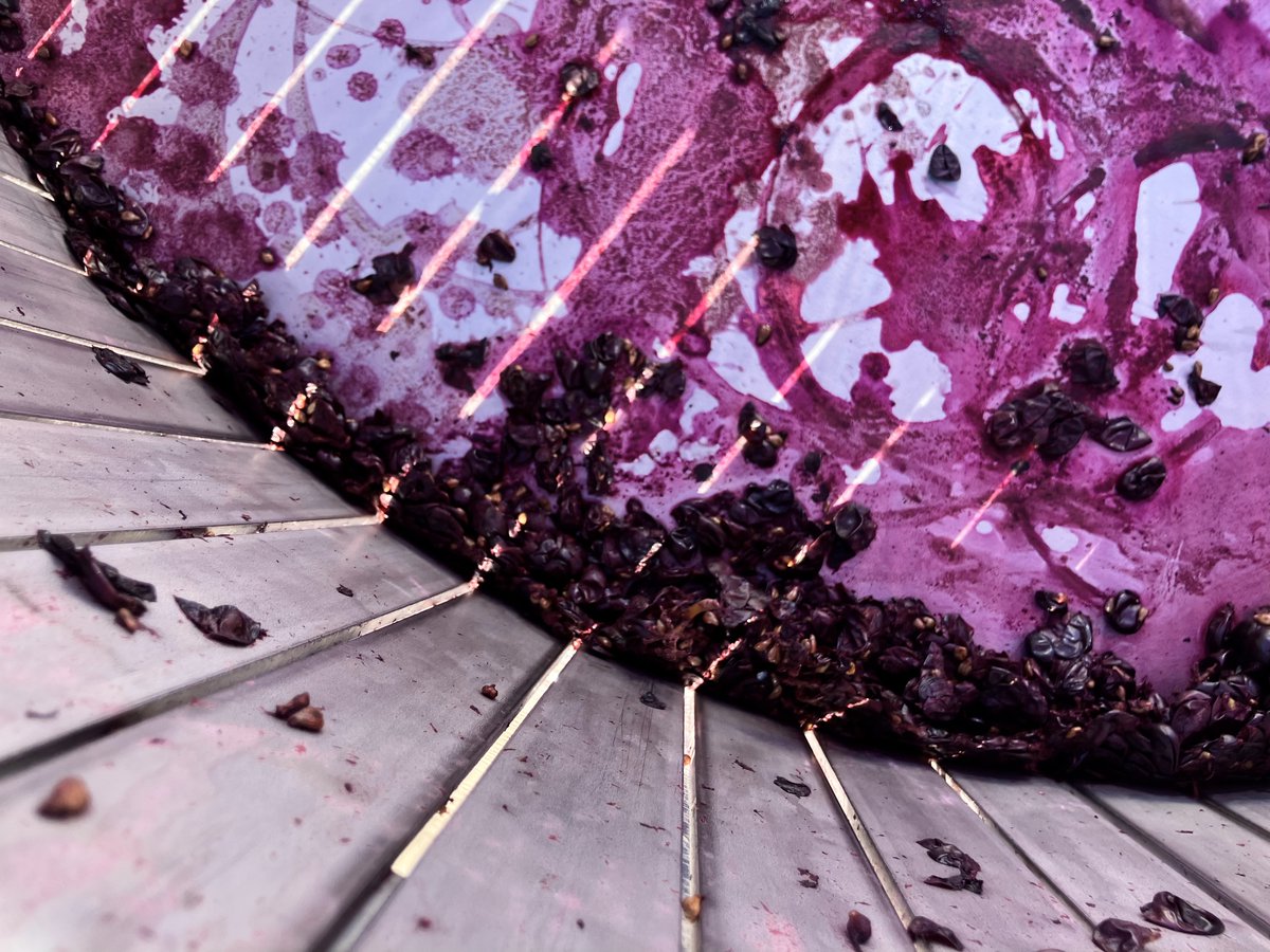 D E V O T U S tweet media