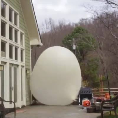 Tak von Tenebrae VT tweet media