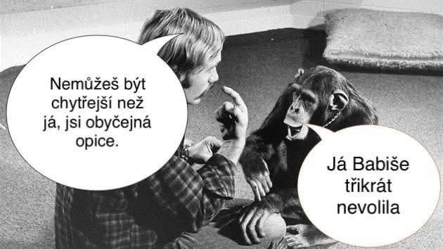 Michal Ricka 🦁 🇨🇿🇫🇮🇷🇴🇸🇰🇮🇱🇸🇪🇧🇻🇩🇰 tweet media