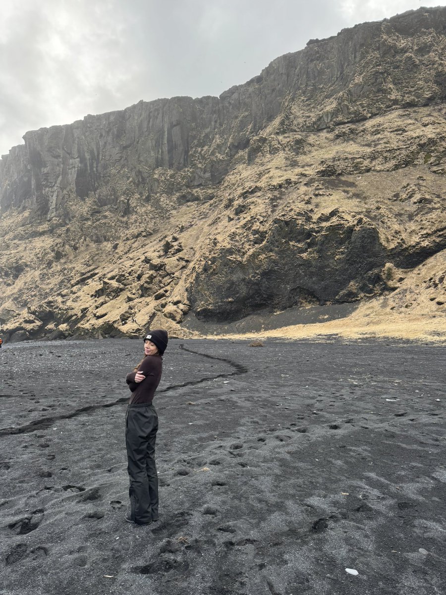 🤙🤙 tweet media