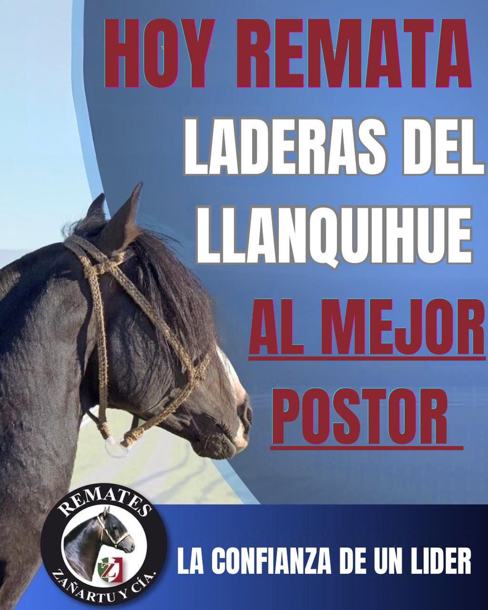 Remates Fernando Zañartu Rozas y Cía. Ltda - CHILE tweet media