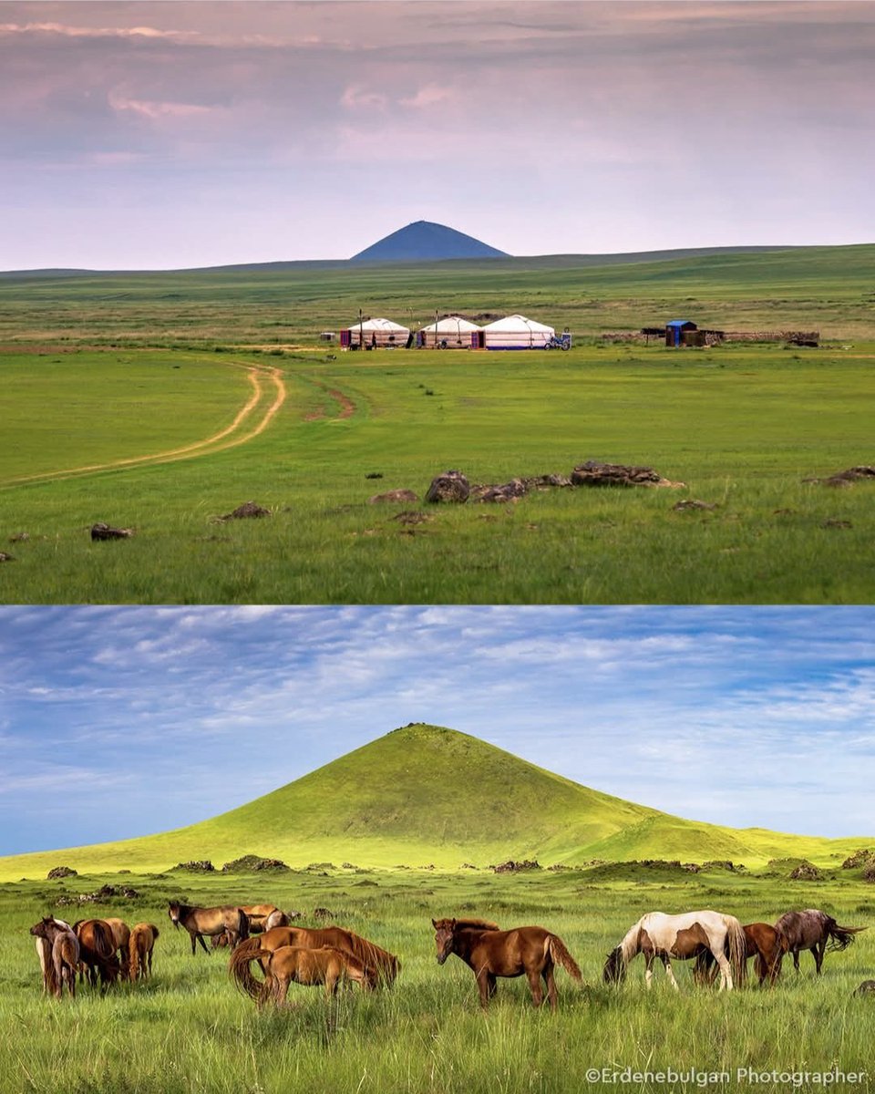 Amaraa tweet media