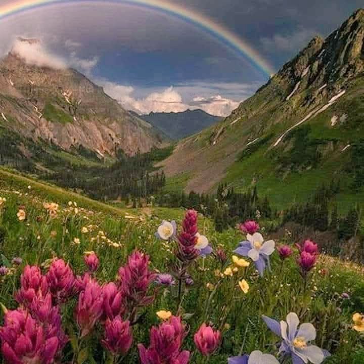 Filomena Gallo tweet media