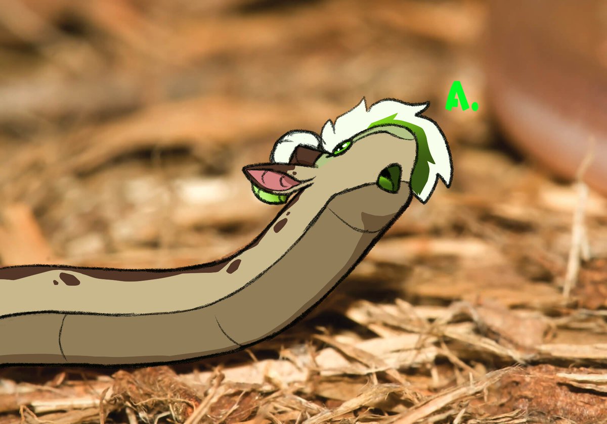 🔞 Spirit Elin 🐍 tweet media