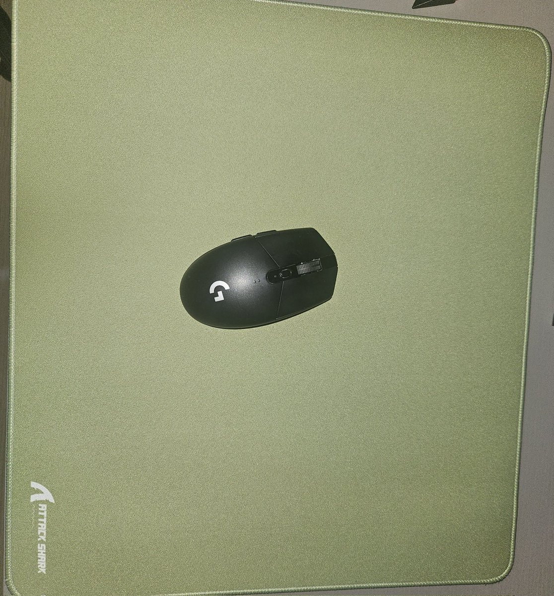 bettiftn tweet media