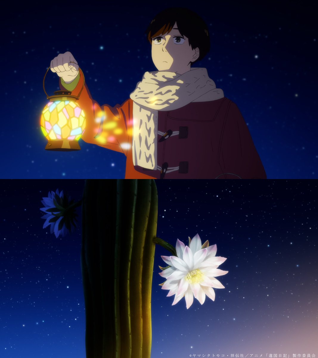 mindlesskate tweet media